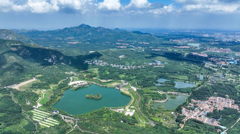 邹平网站建设